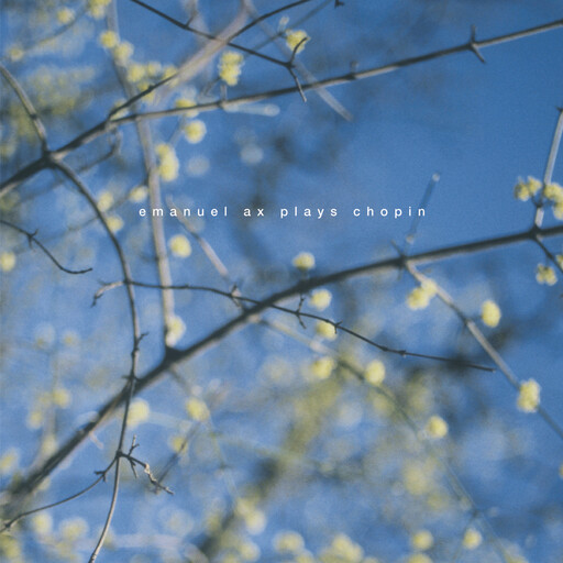 中国真人版黄色大片
